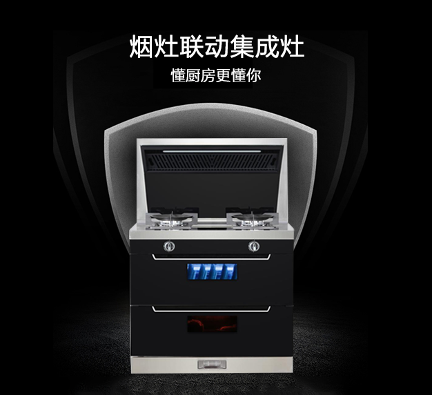 公司所生產銷售的燃氣灶具產品，在行業里始終處于領先地位，也是灶具行業里比較突出的OEM制造企業